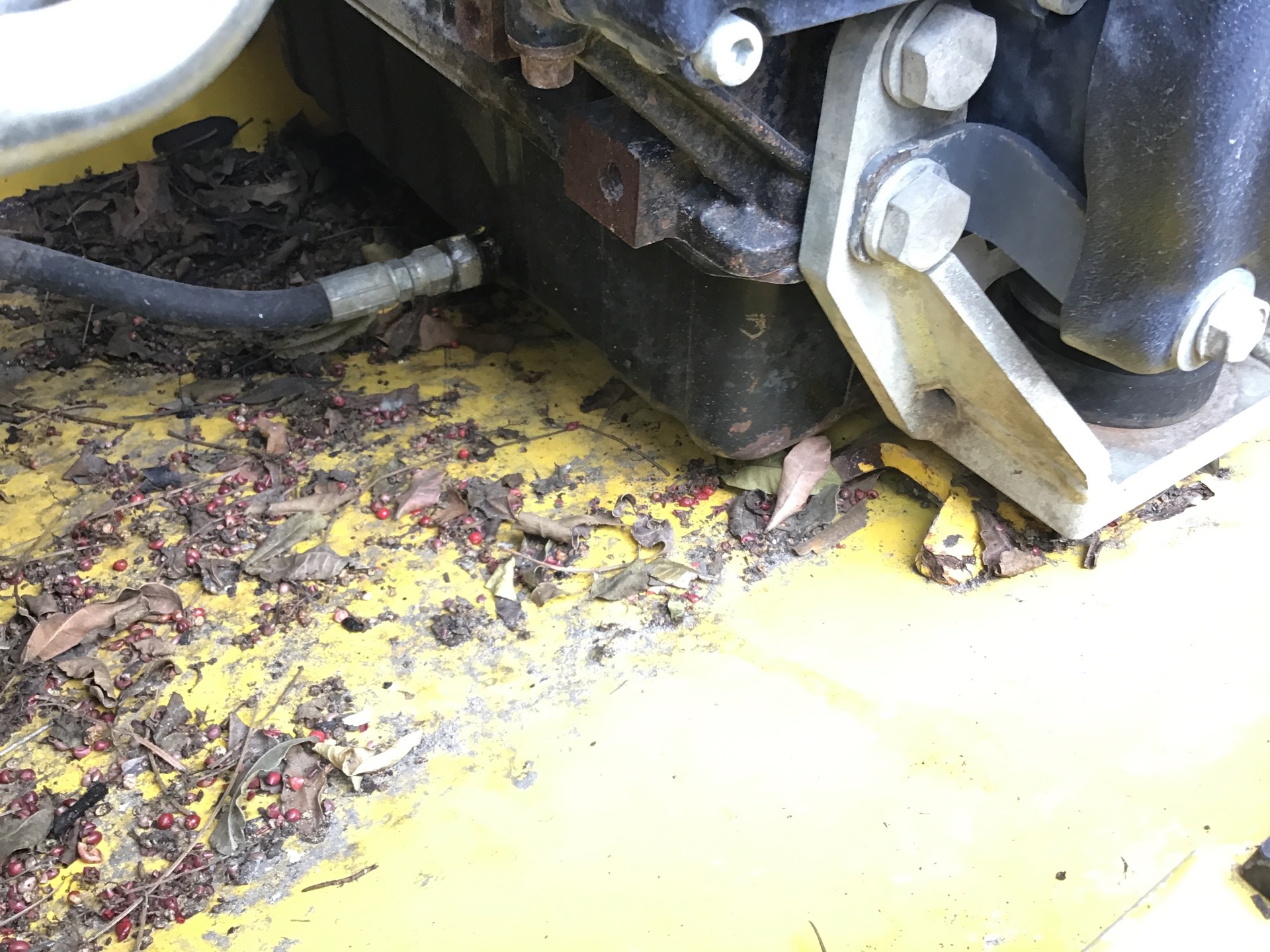Photo - 40