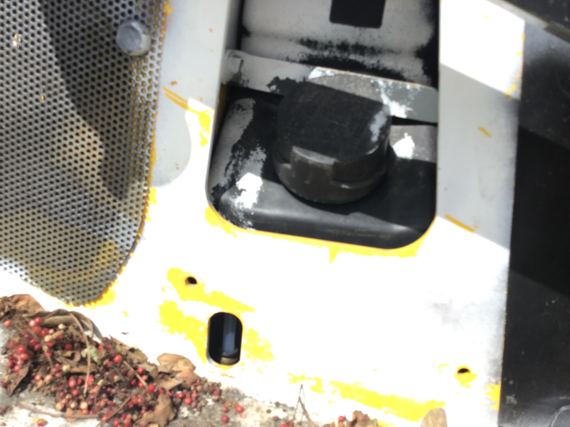 Photo - 45