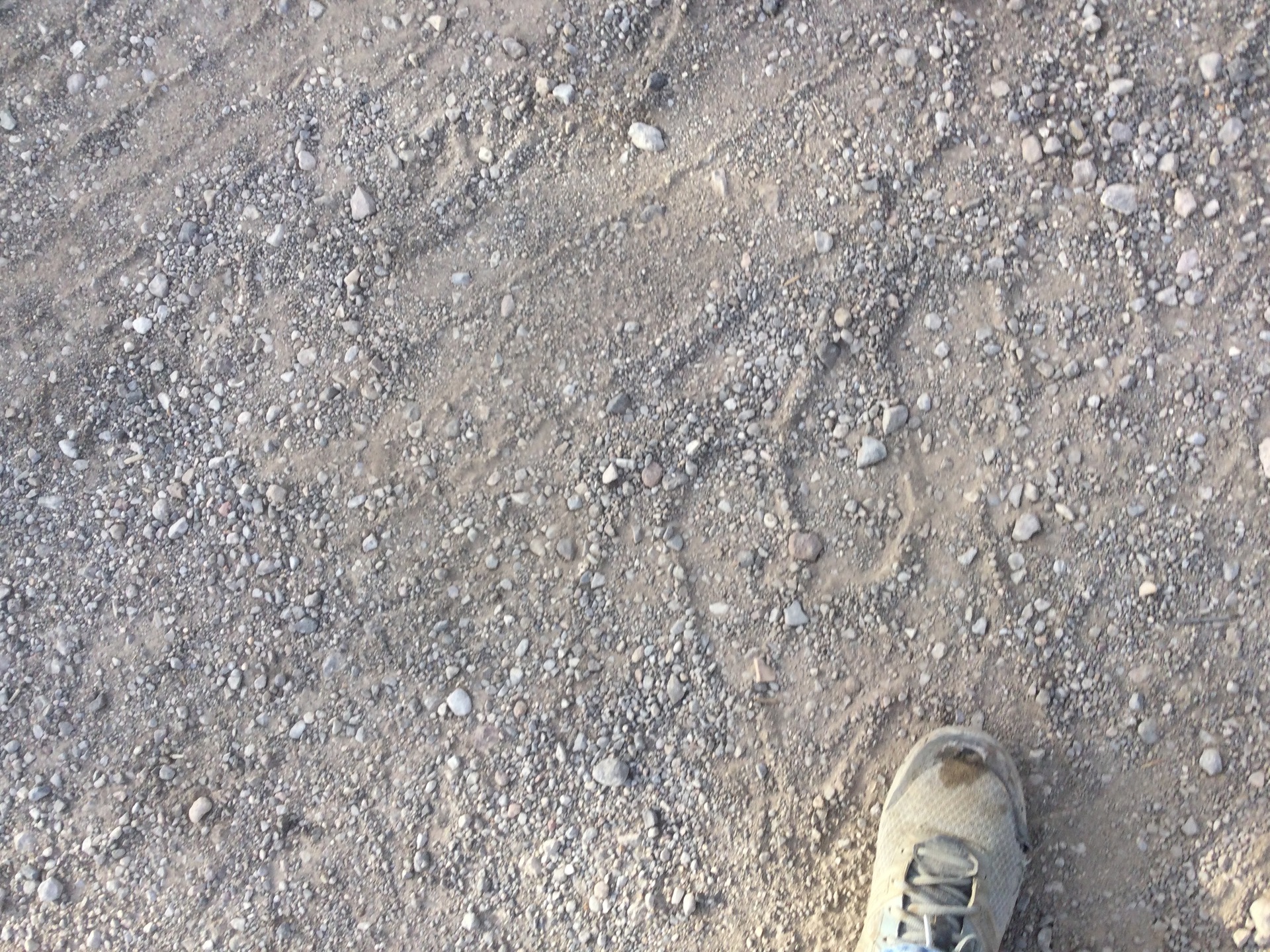 2019 Heartland 30LX Prowler T/A Travel Trailer